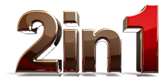2in1 logo